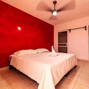 Hotel Caribe Express Cozumel